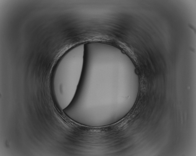 X0000097610298200802290802