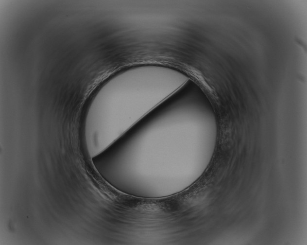 X0000097610299200802290802