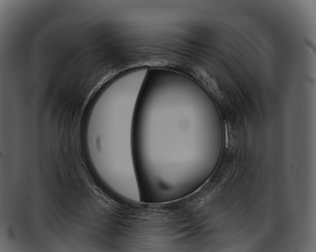X0000097610300200802290802
