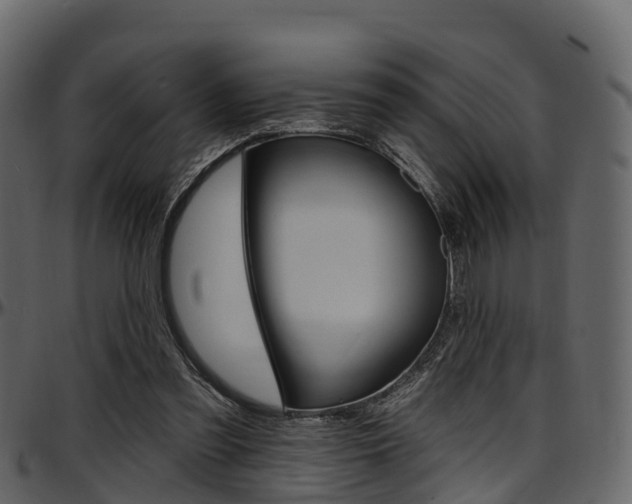 X0000097610301200802290802