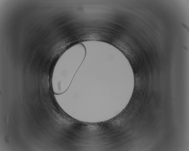 X0000097610302200802290802