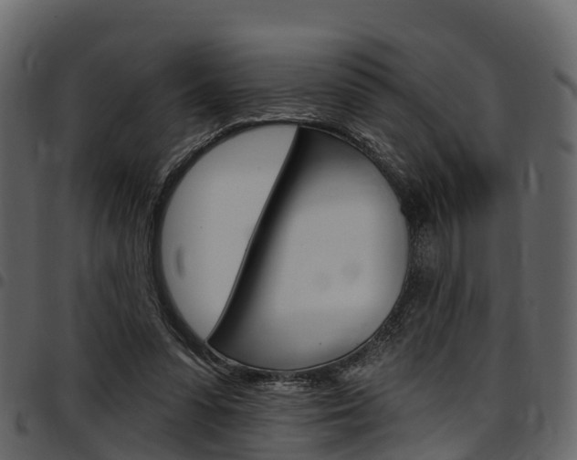 X0000097610303200802290802