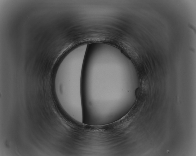 X0000097610304200802290802