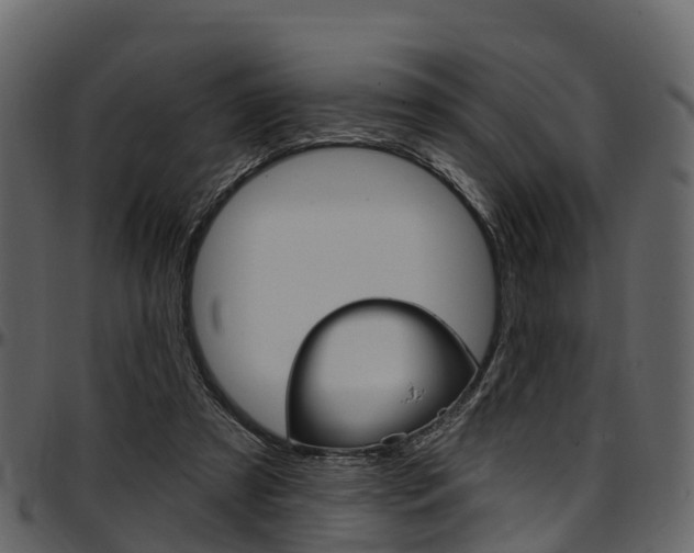 X0000097610305200802290802
