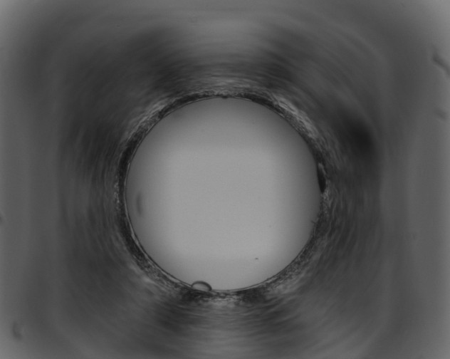 X0000097610306200802290802