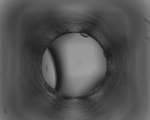 X0000097610307200802290802