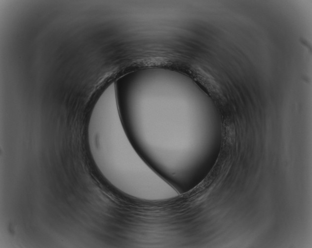 X0000097610308200802290802