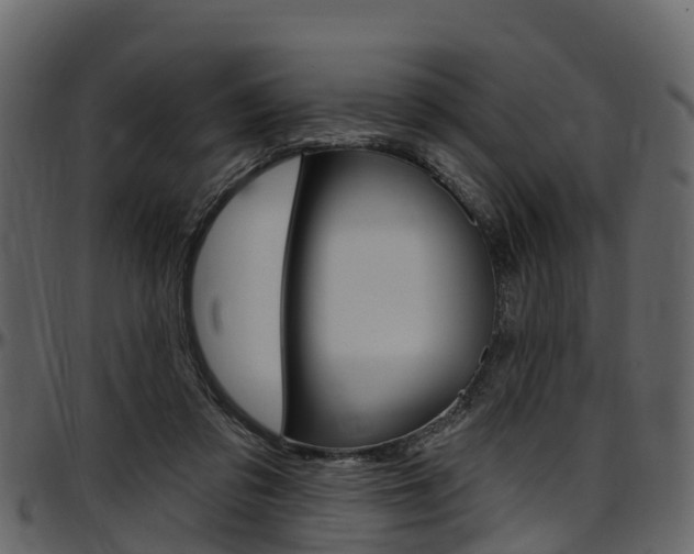 X0000097610309200802290802