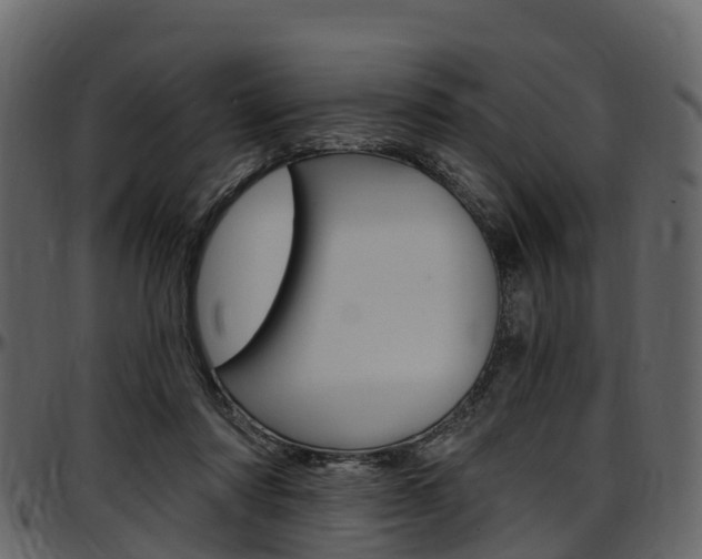 X0000097610310200802290802
