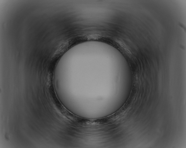 X0000097610311200802290802