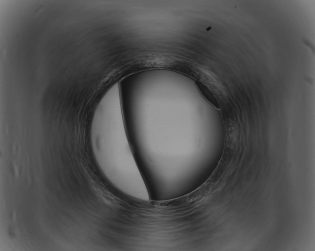 X0000097610312200802290802