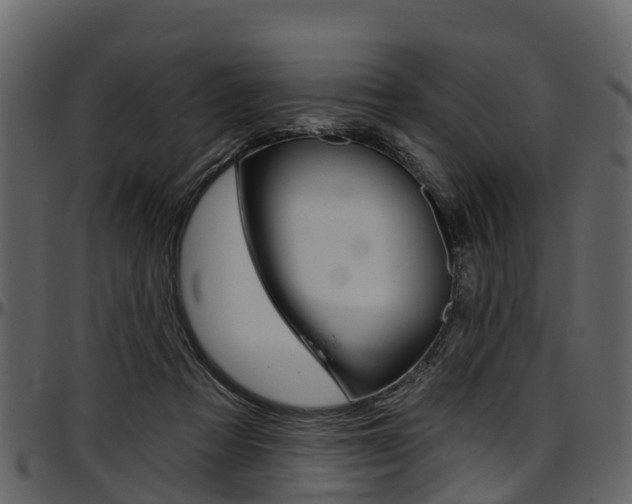 X0000097610313200802290802