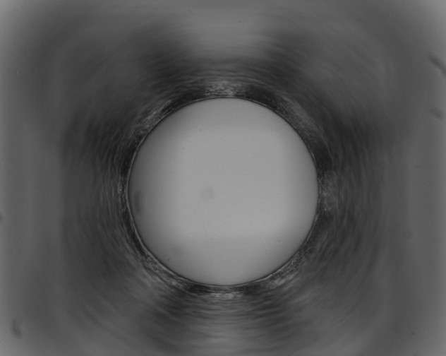 X0000097610314200802290802