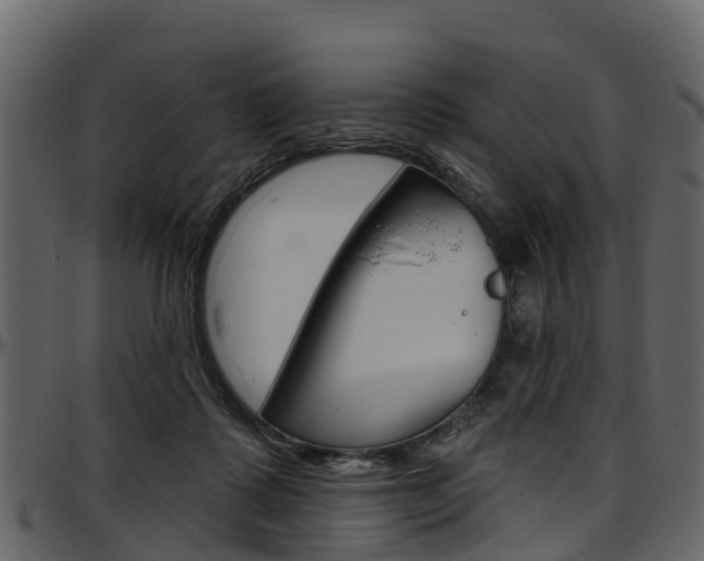 X0000097610315200802290802