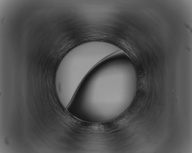 X0000097610317200802290802
