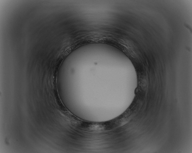 X0000097610319200802290802
