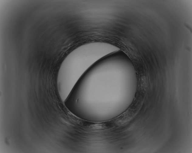 X0000097610320200802290802