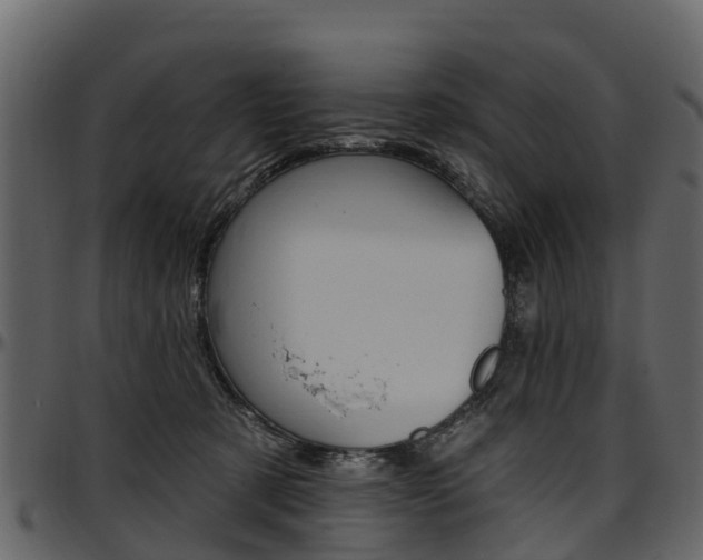 X0000097610321200802290802