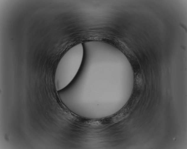 X0000097610322200802290802
