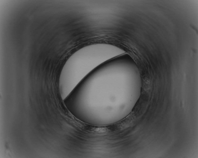 X0000097610324200802290802