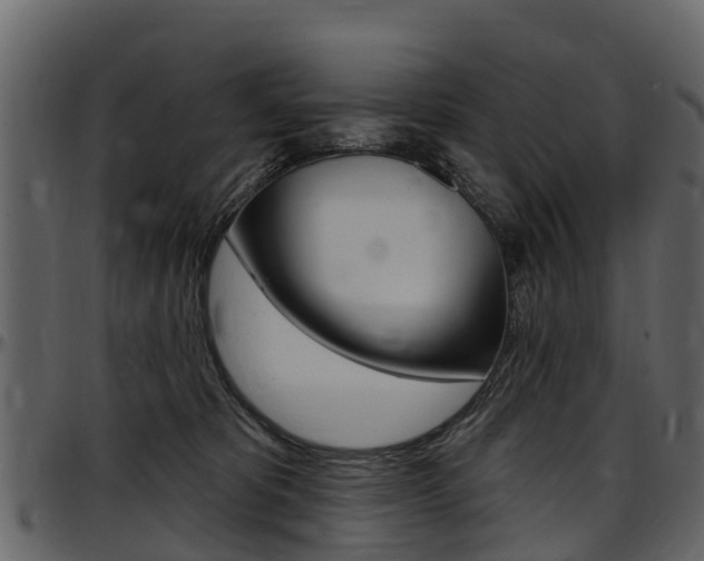 X0000097610325200802290802
