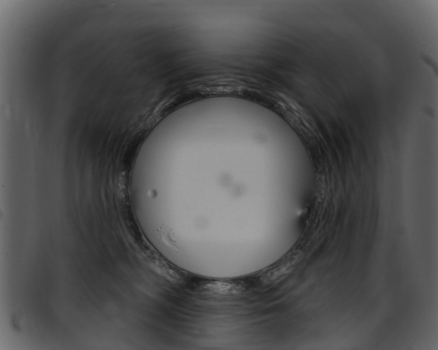 X0000097610326200802290802