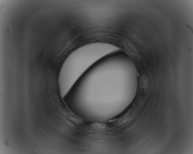 X0000097610328200802290802