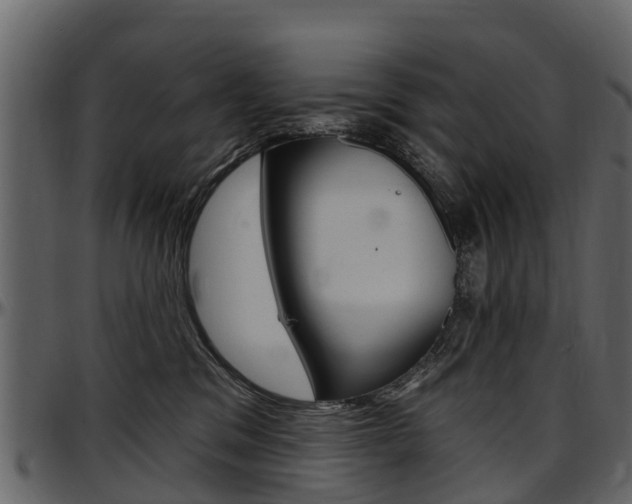 X0000097610329200802290802