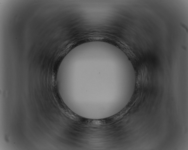 X0000097610330200802290802
