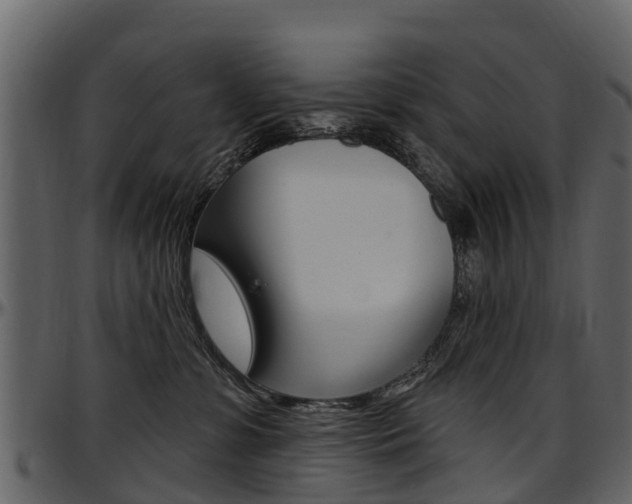 X0000097610331200802290802