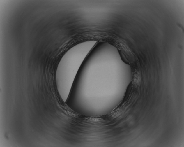 X0000097610332200802290802