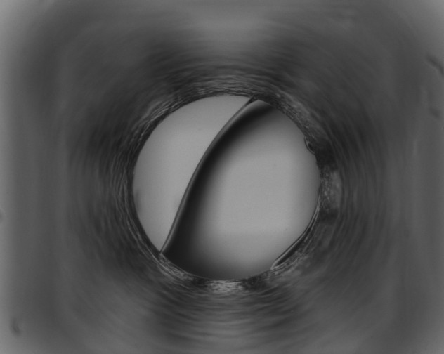 X0000097610333200802290802