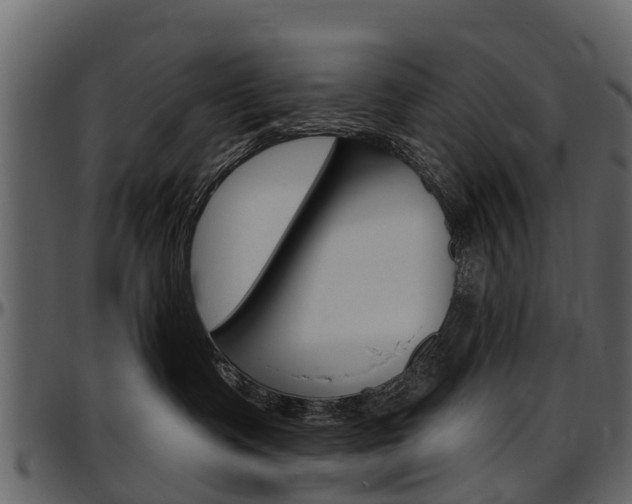 X0000097610335200802290802