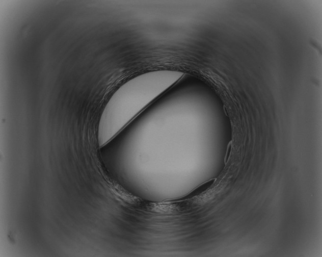 X0000097610336200802290802