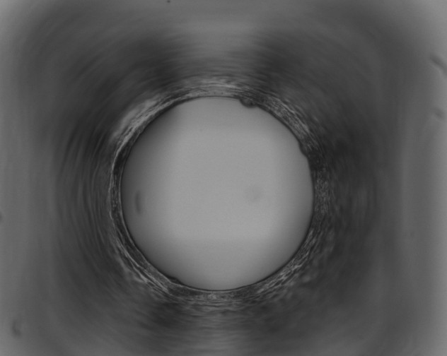 X0000097610338200802290801