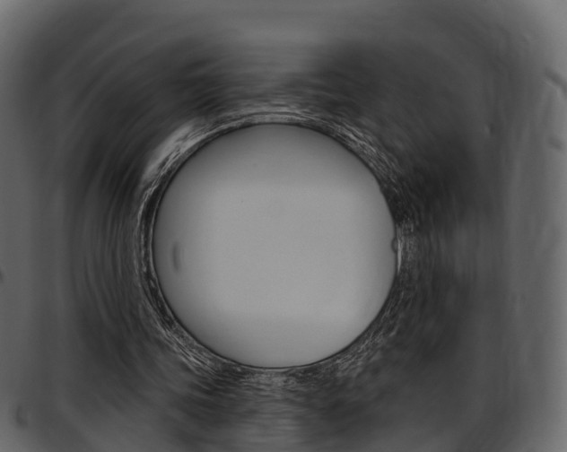 X0000097610339200802290801