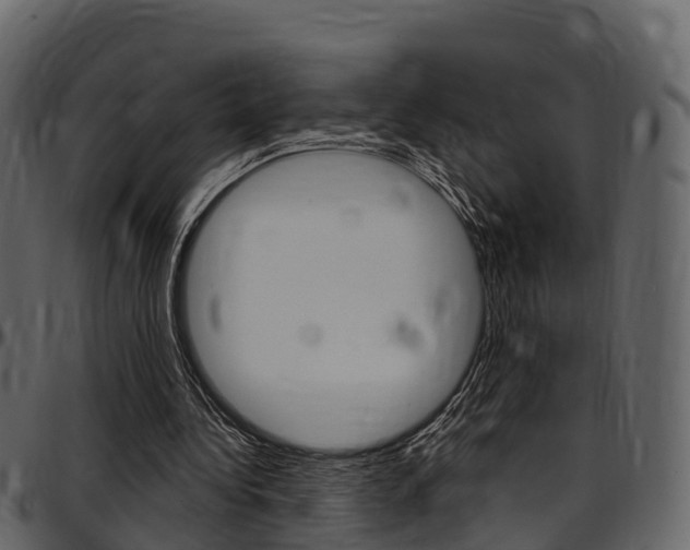 X0000097610340200802290801
