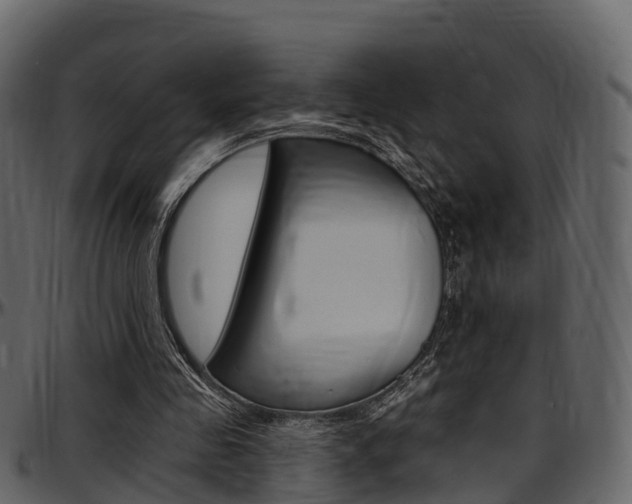 X0000097610341200802290801