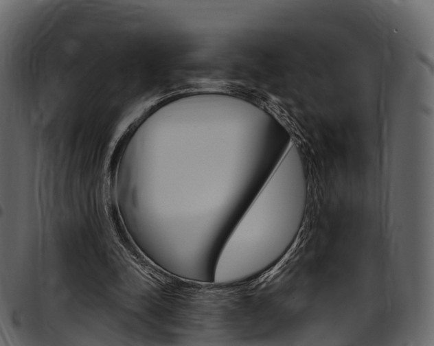 X0000097610342200802290801