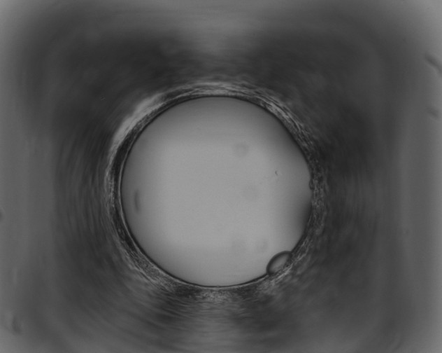 X0000097610343200802290801