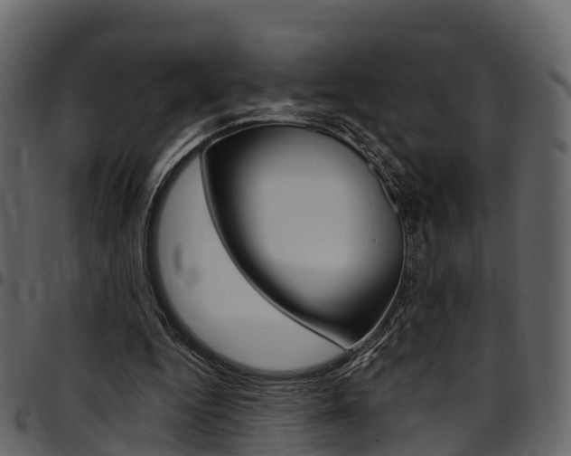 X0000097610344200802290801