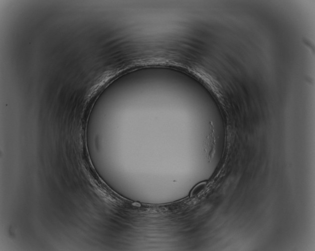 X0000097610345200802290801