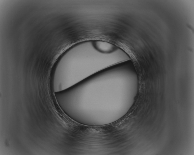 X0000097610346200802290801