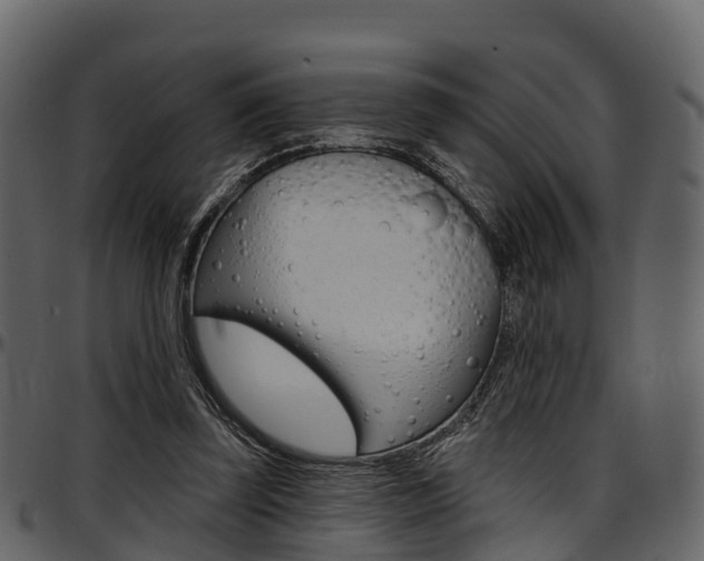 X0000097610347200802290801