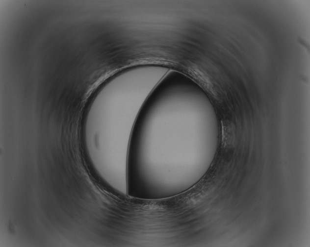 X0000097610348200802290801