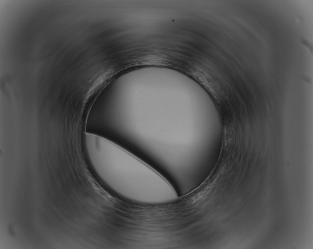 X0000097610349200802290801