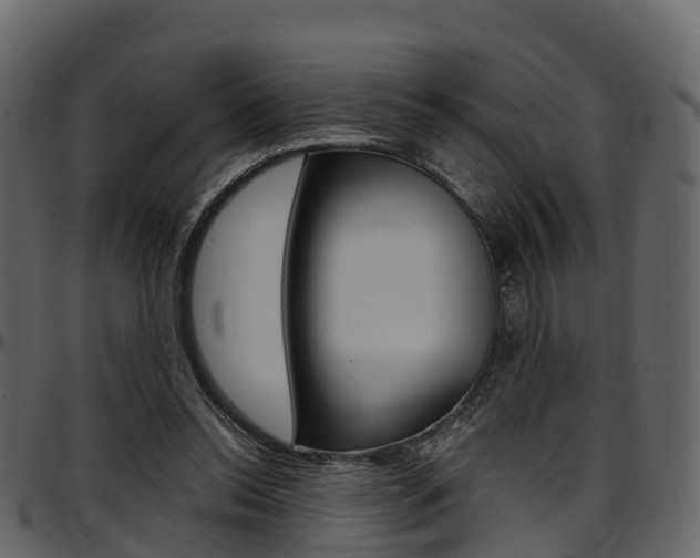 X0000097610350200802290801