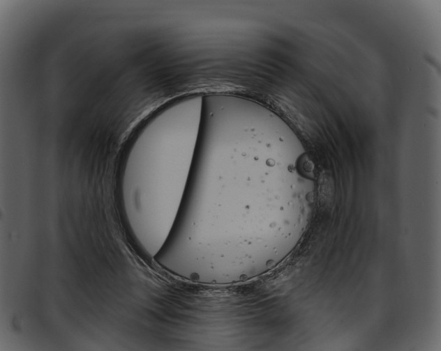 X0000097610351200802290801