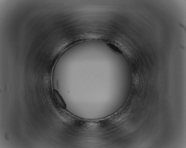 X0000097610352200802290801