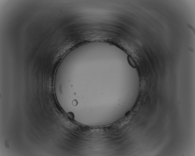 X0000097610353200802290801